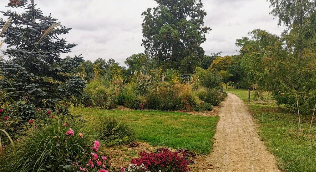 Universitaire de Poitiers Botanical Garden, Mignaloux-Beauvoir, France, France